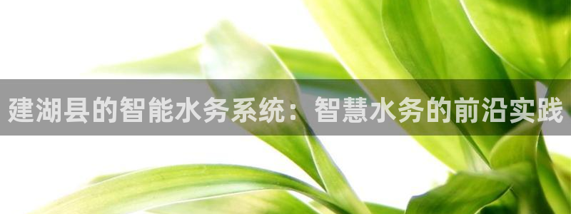 云顶国际服更新时间是几点