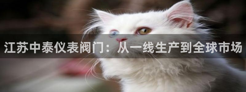 淮北云顶国际俱乐部电话