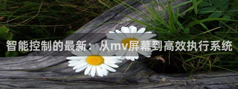 云顶国际服什么时候更新s90