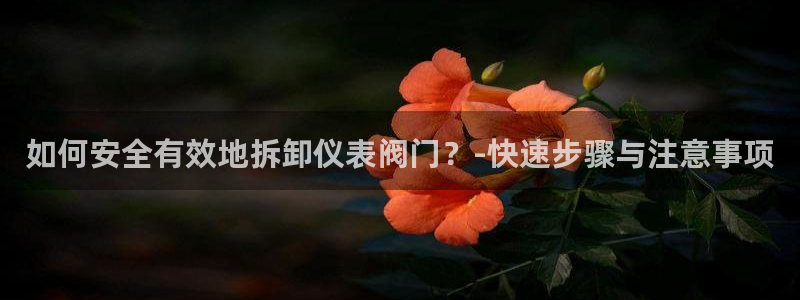 云顶集团网站app下载安装