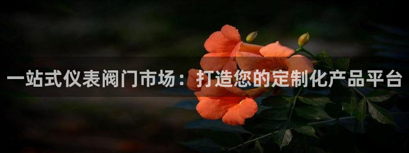 云顶国际酒店位置图