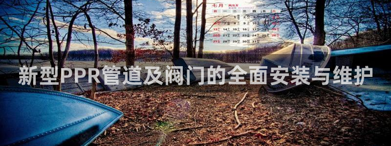 云顶国际测试服免费领取
