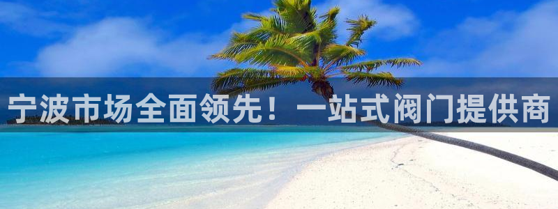 云顶国际服阵容