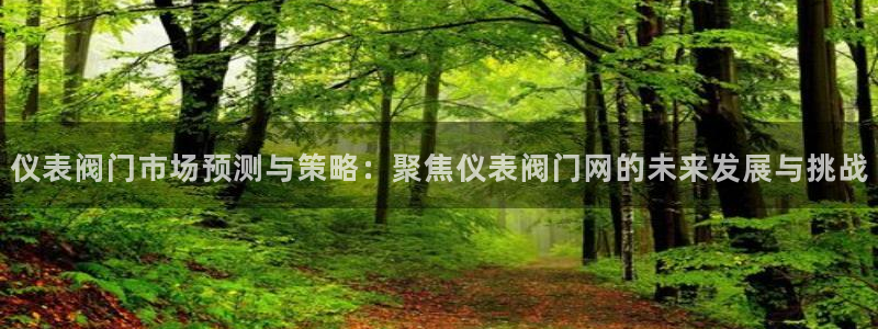 云顶国际服s11什么时候上线