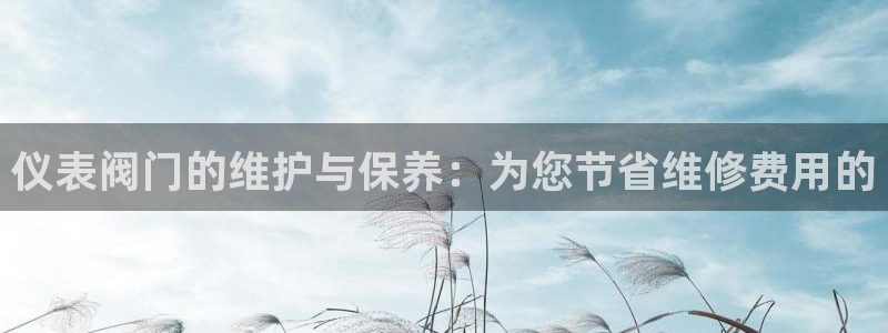 云顶国际日本