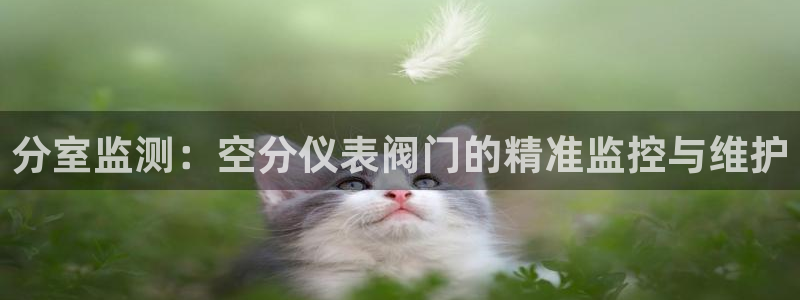云顶国际百姓渔村最建议去吗