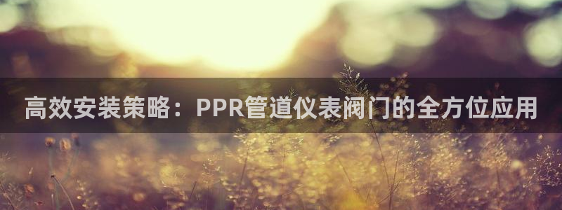 云顶集团林致华