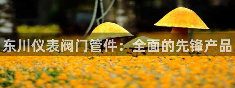 云顶国际提款不到账怎么办