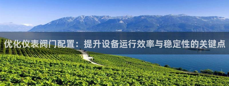 云顶国际服怎么选服务器