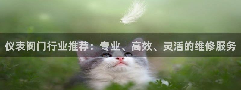 云顶集团专属APP9.0