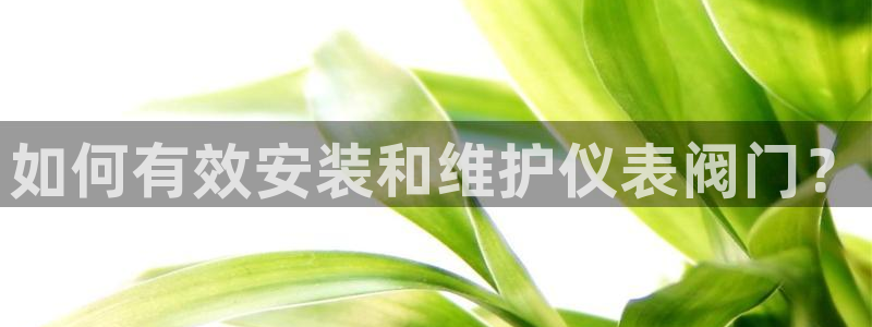 云顶电子游戏平台