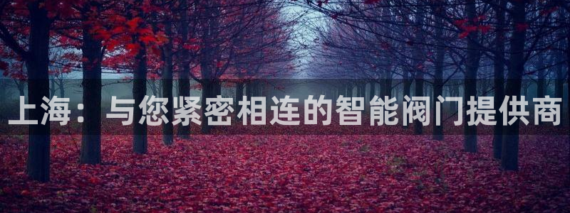 官方云顶国际网站下载