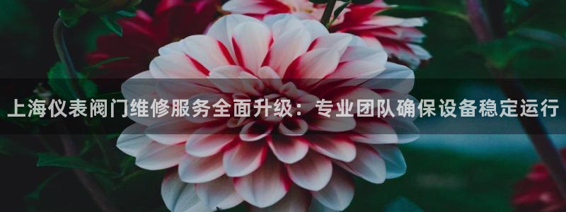 云顶国际nba智库