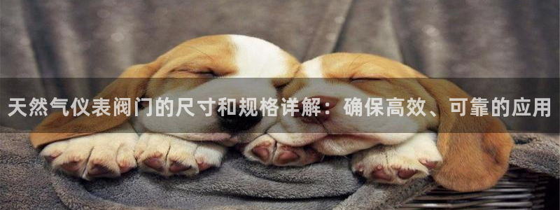 云顶dj