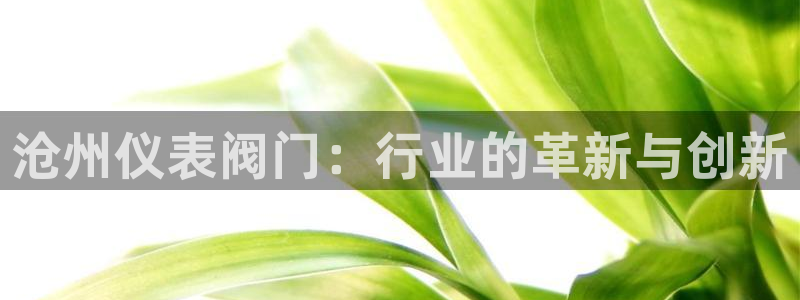 云顶国际服名字