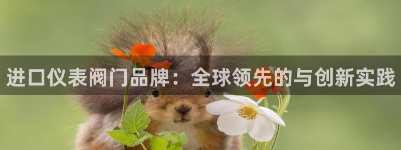 云顶国际服怎么更新